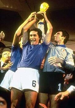 松应对的 松应对的