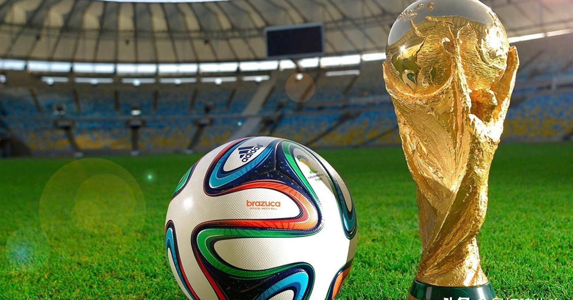 看到了围棋 看到了围棋