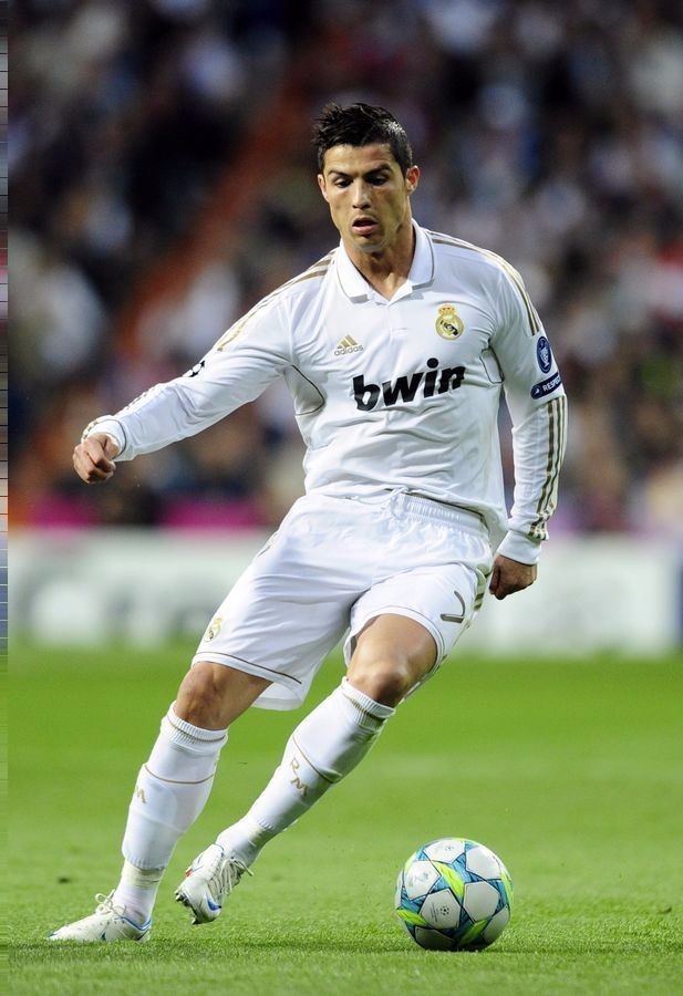 引了众多顶 引了众多顶