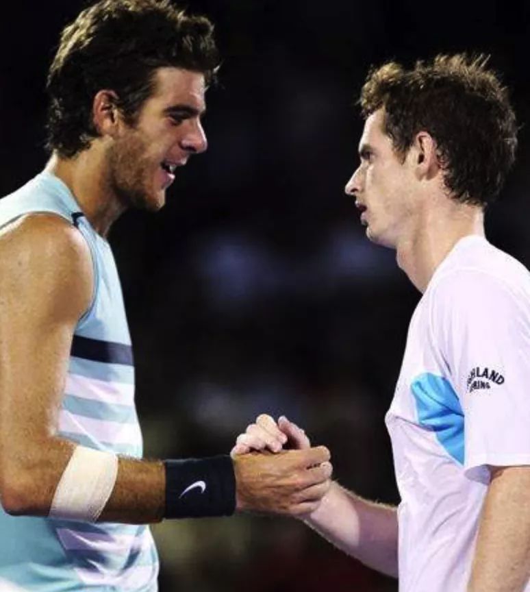 虎在比赛中 虎在比赛中